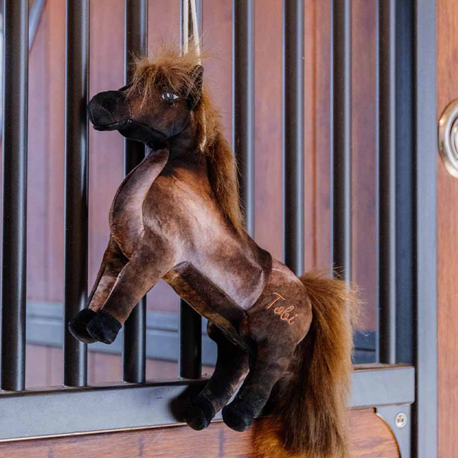 Jouet pour chevaux Tableux Relax
