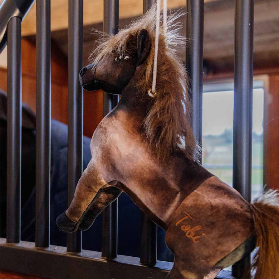Jouet pour chevaux Tableux Relax