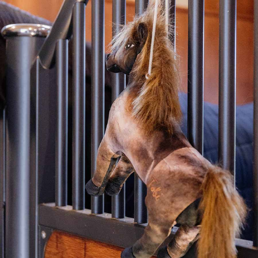 Jouet pour chevaux Tableux Relax
