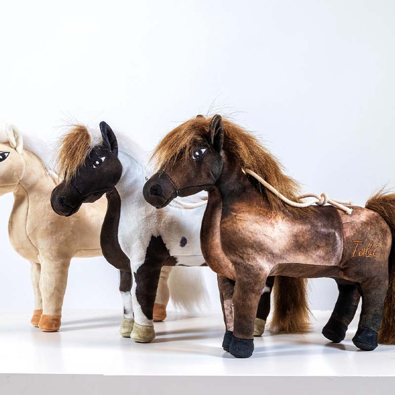Jouet pour chevaux Tableux Relax