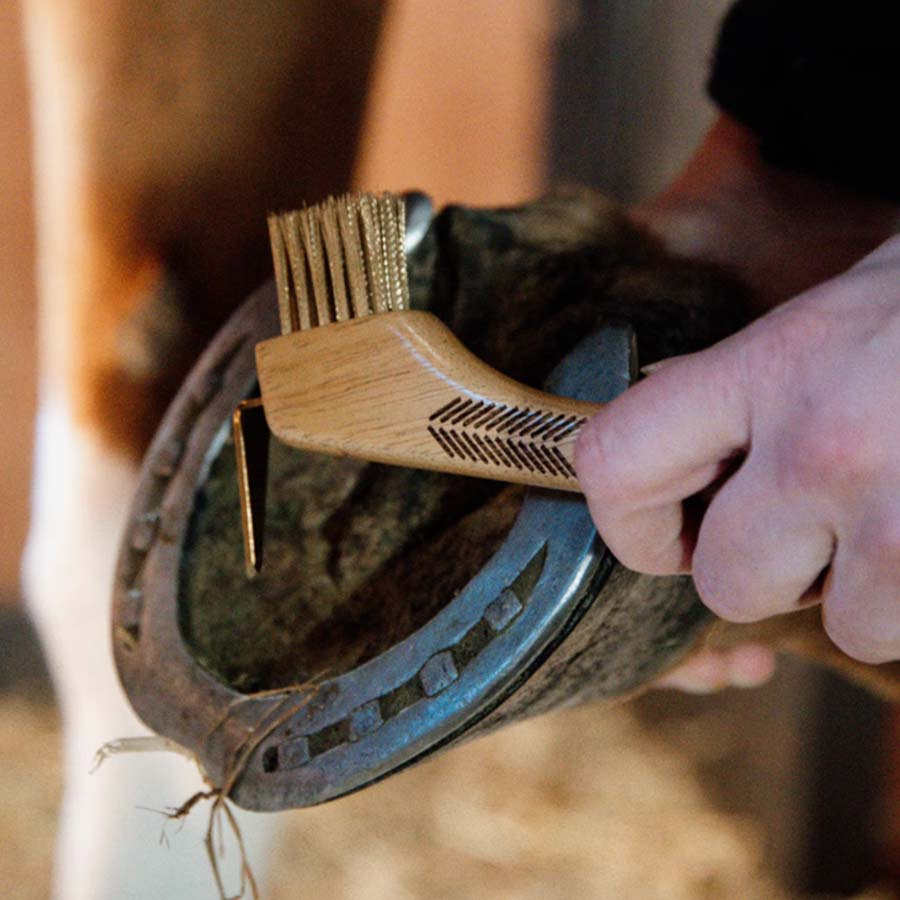 Cure-Pied Brosse Métallique