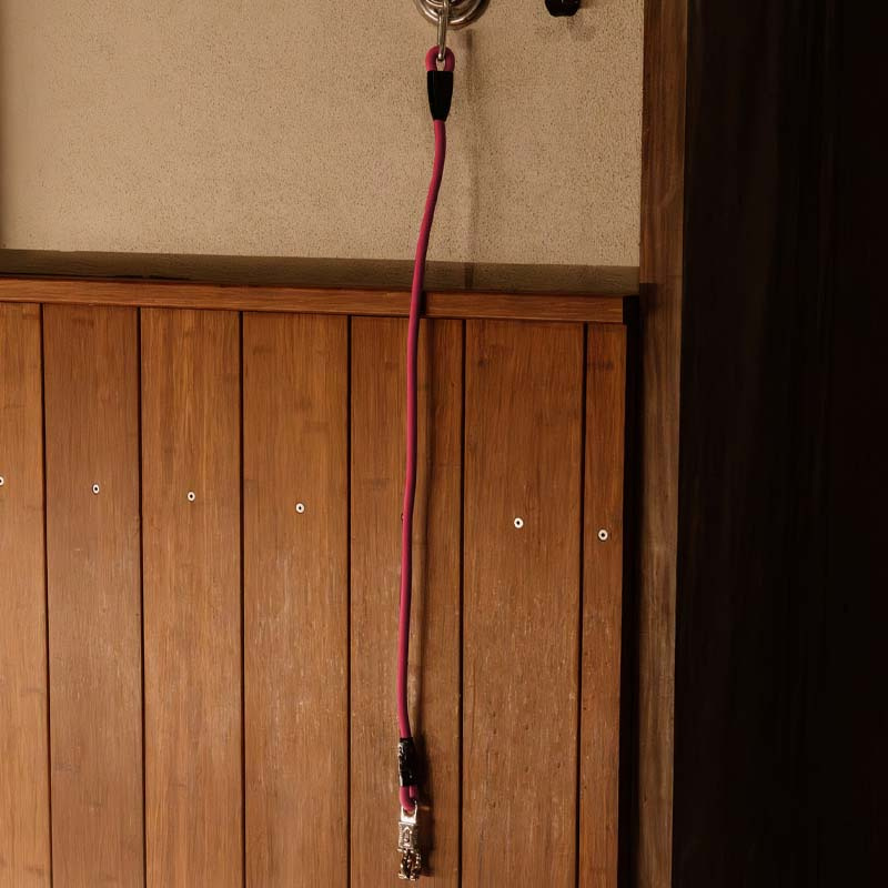 Corde d'attache Box Lead & Cross Silicone Rose