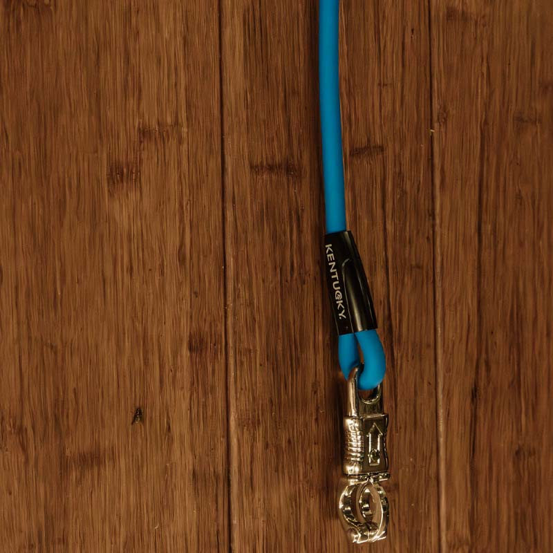 Corde d'attache Box Lead & Cross Silicone Bleu
