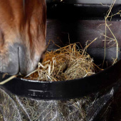 Sac à foin Straight Noir Sac à foin Straight Noir