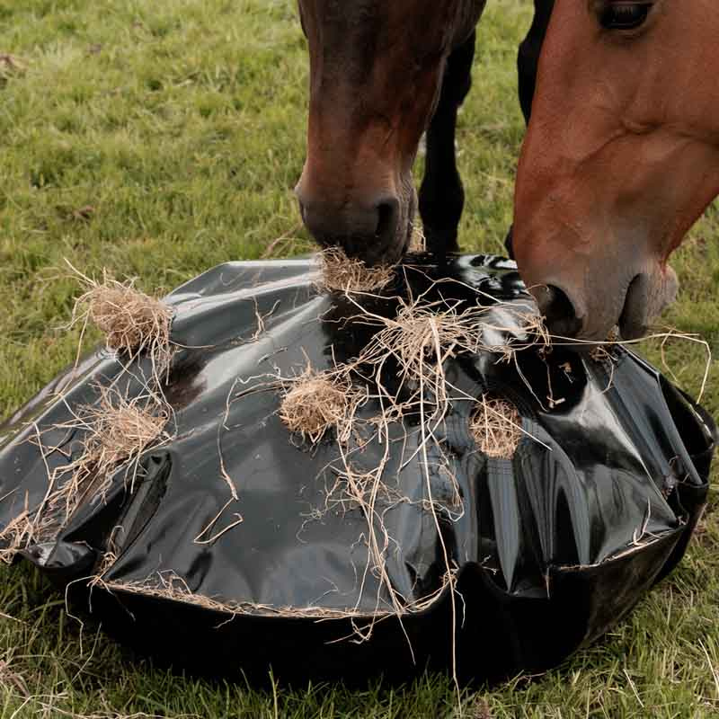 Filet à foin Play & Haybag Slowfeeder Round Noir