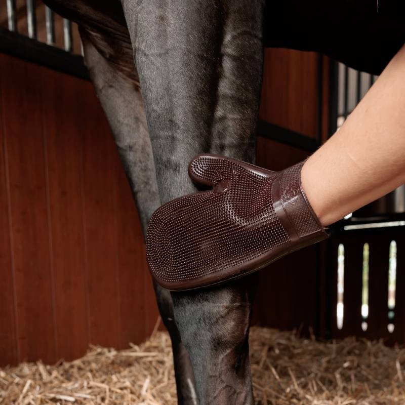 Gant de pansage Rubber Marron