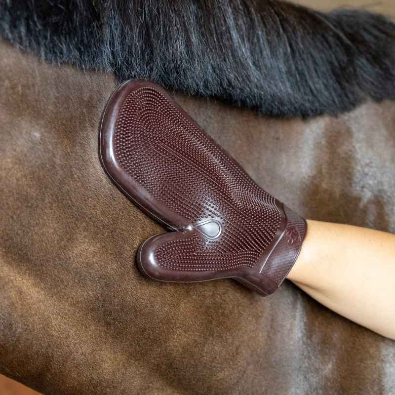 Gant de pansage Rubber Marron