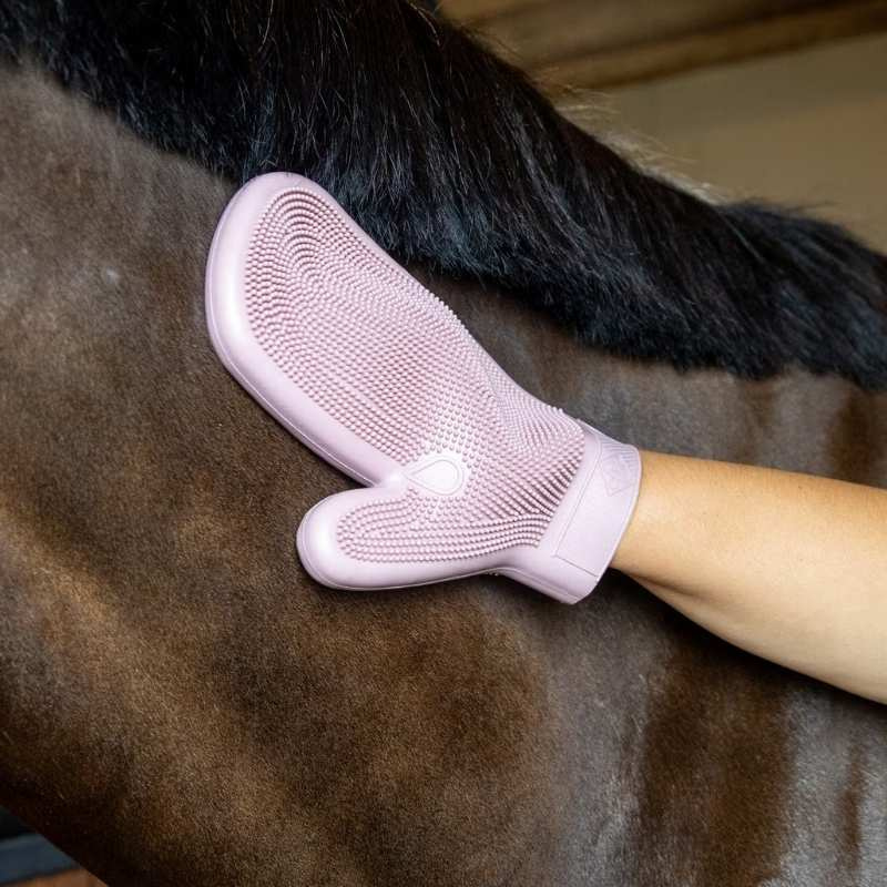 Gant de pansage Rubber Rose