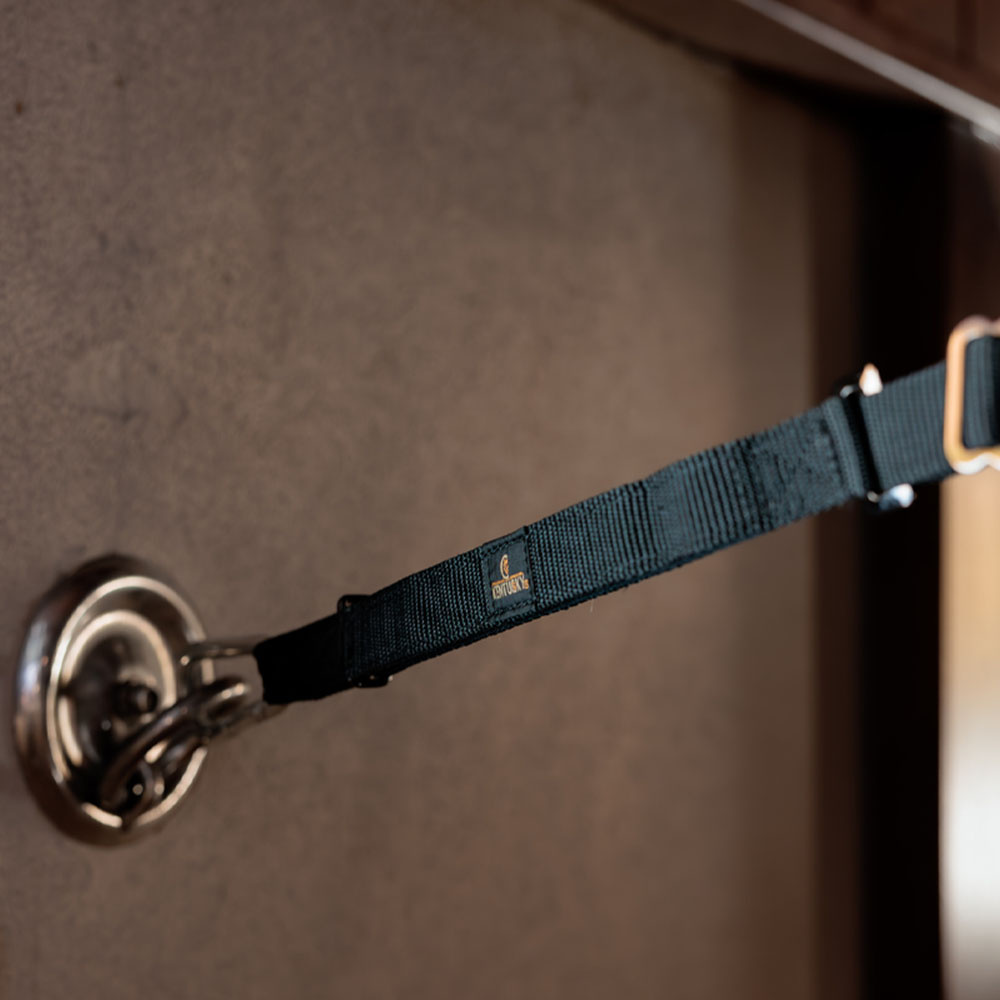 Corde d'attache Box Lead & Cross Safety Noir