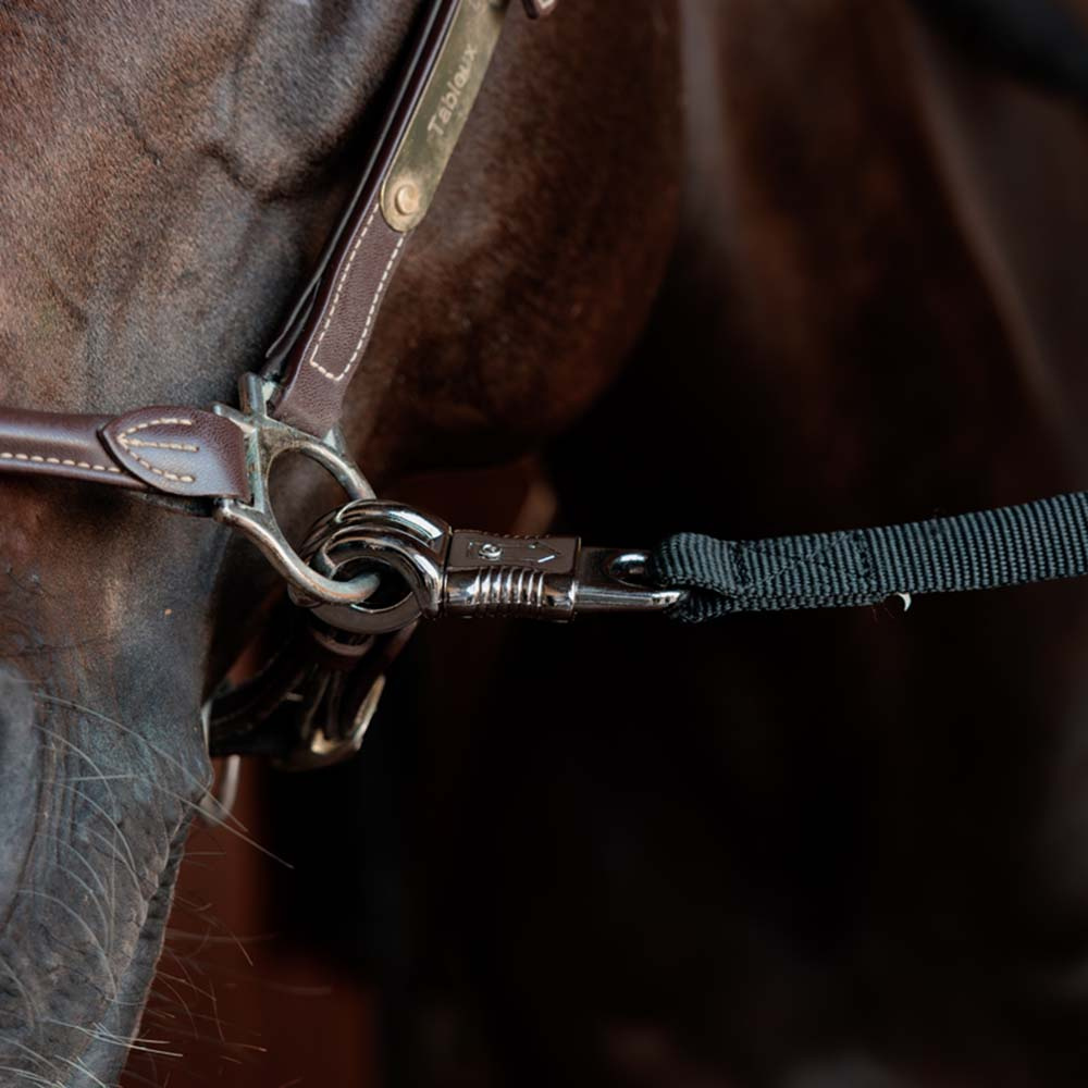 Corde d'attache Box Lead & Cross Safety Noir