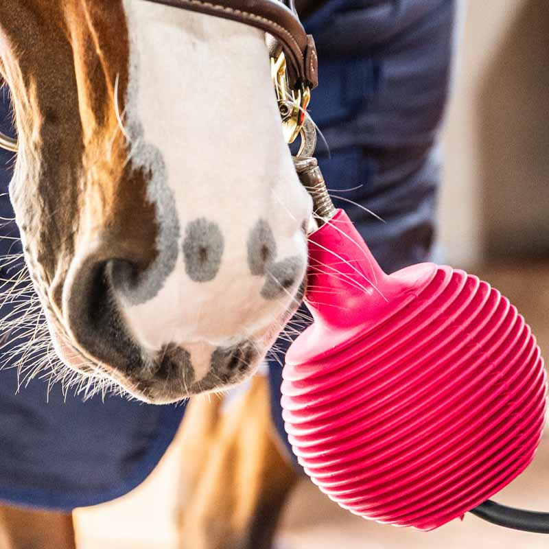 Balle de protection Lead & Wall Protection Rubber Pro Rose