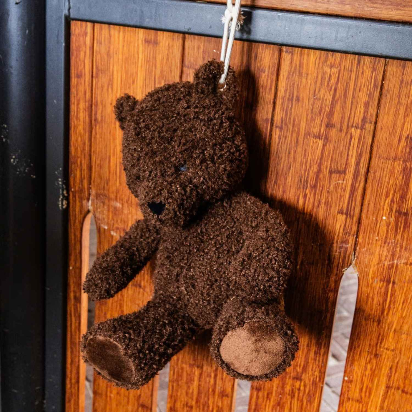 Jouet pour cheval Relax Bear Marron