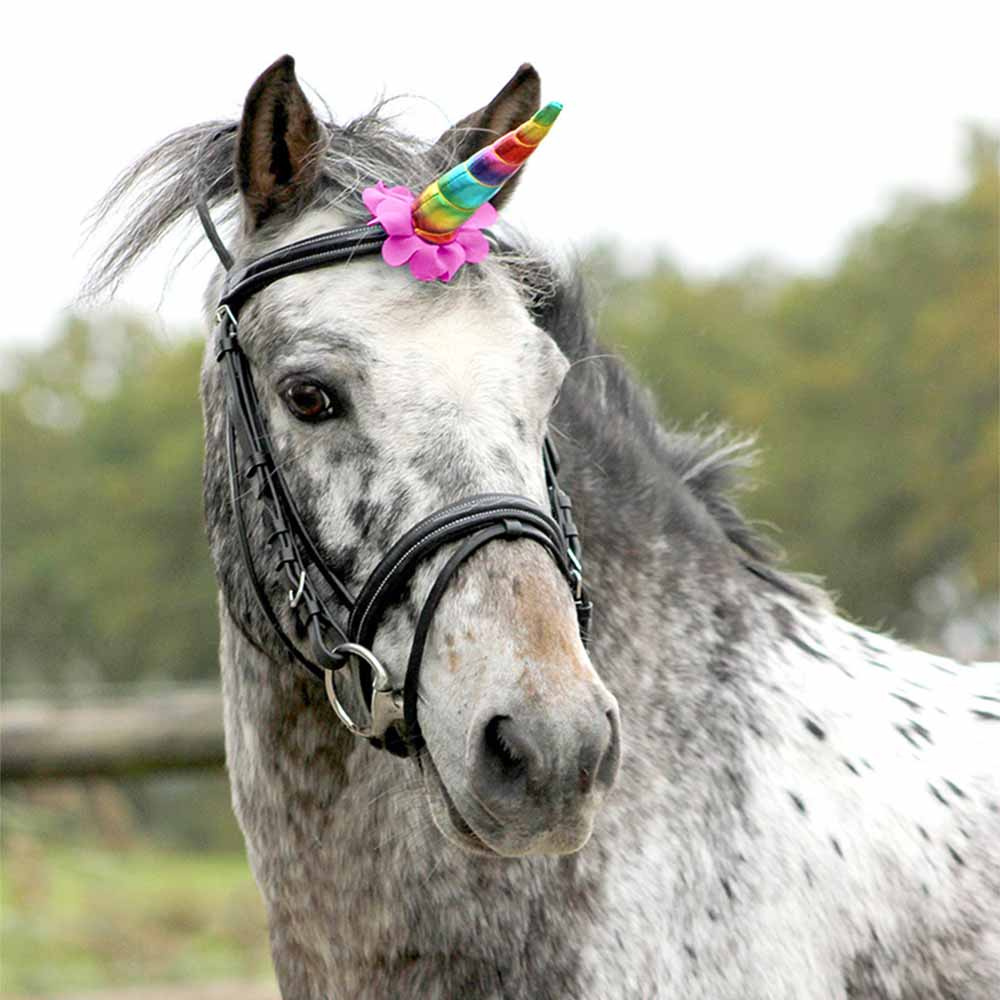Corne de licorne Rainbow