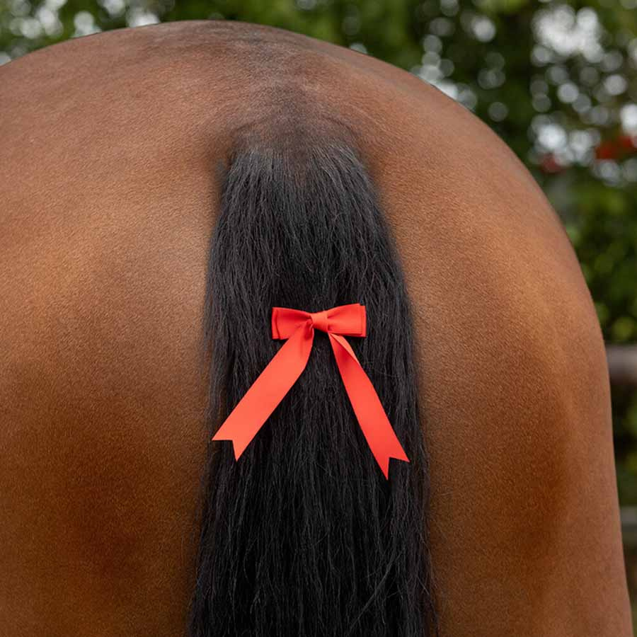 Ruban de queue Rouge