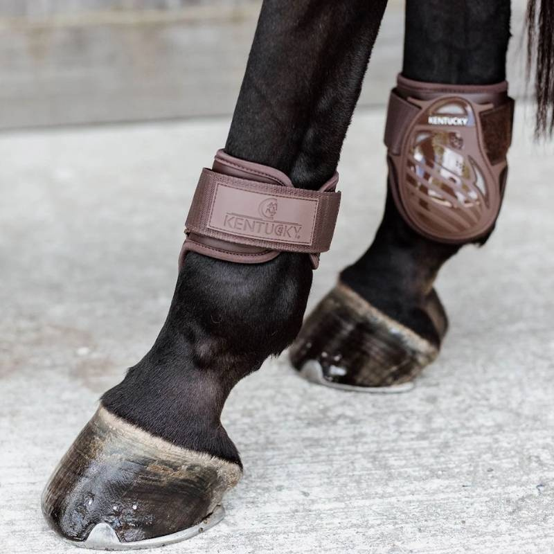 Guêtres pour jeune cheval Shield Marron