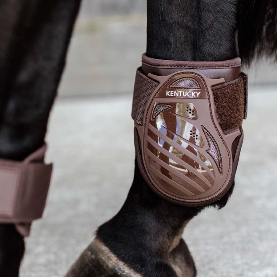 Guêtres pour jeune cheval Shield Marron
