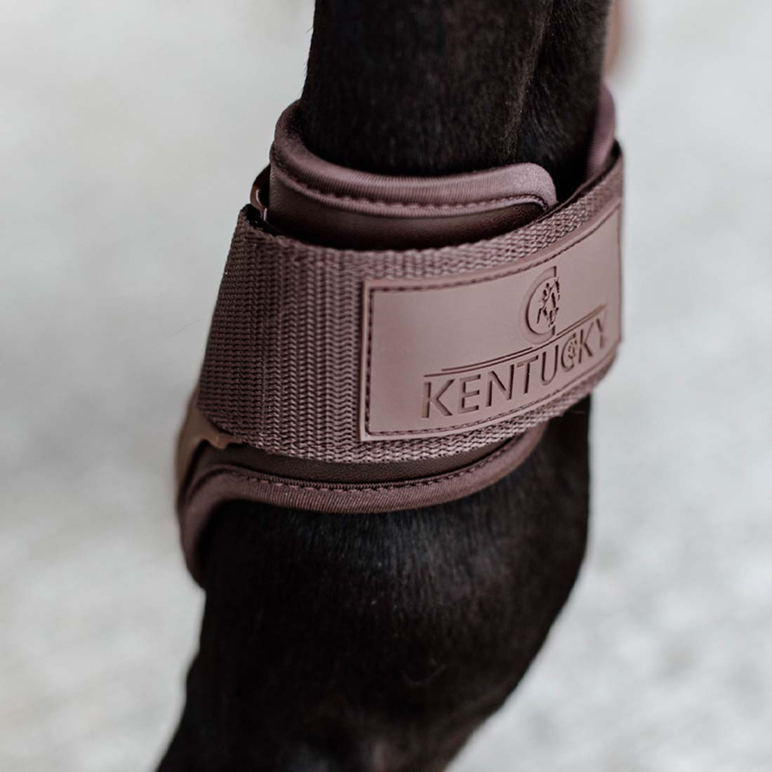 Guêtres pour jeune cheval Shield Marron