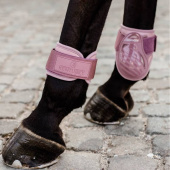 Guêtres pour jeune cheval Shield Rose Guêtres pour jeune cheval Shield Rose