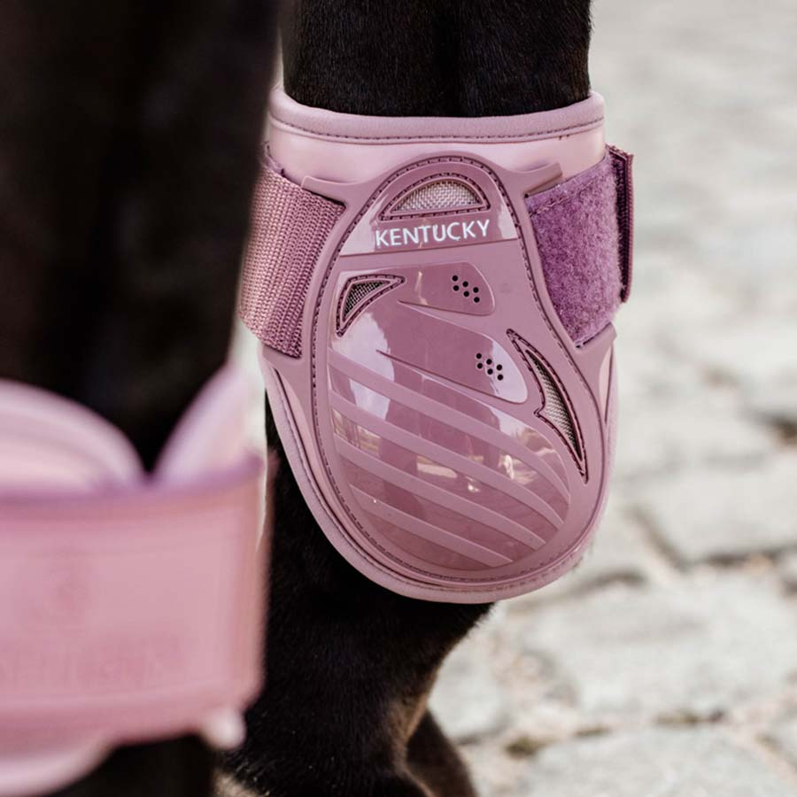 Guêtres pour jeune cheval Shield Rose