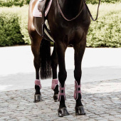 Guêtres pour jeune cheval Shield Rose Guêtres pour jeune cheval Shield Rose