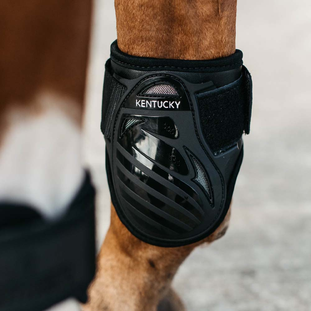 Guêtres pour jeune cheval Shield Noir