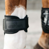 Guêtres pour jeune cheval Shield Noir Guêtres pour jeune cheval Shield Noir