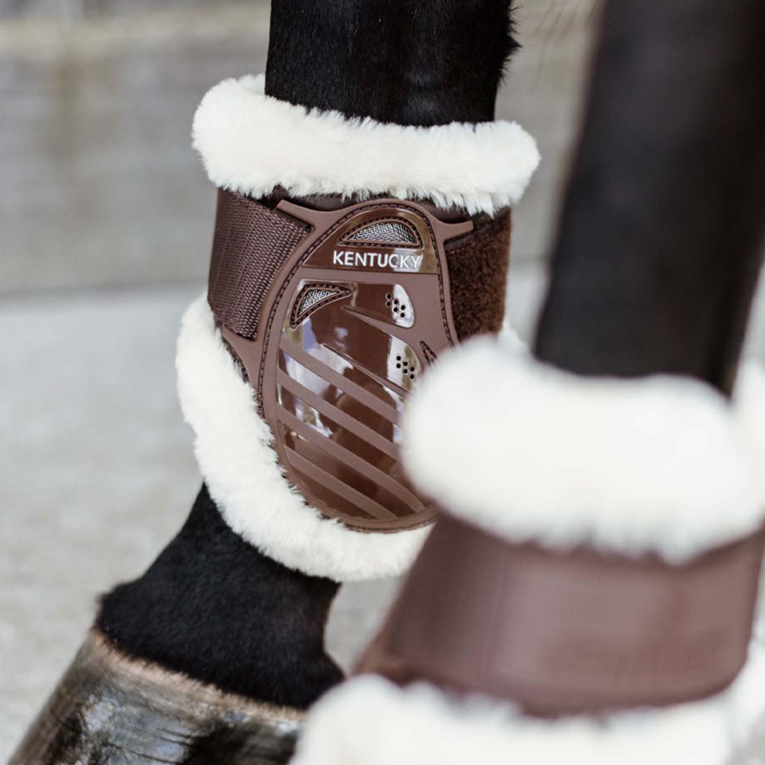 Guêtres en peau de mouton pour jeune cheval Shield Marron