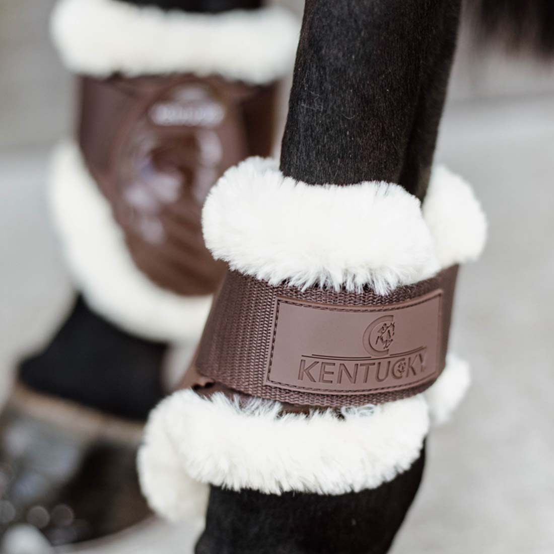 Guêtres en peau de mouton pour jeune cheval Shield Marron