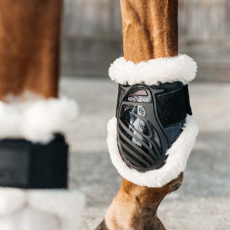 Guêtres en peau de mouton pour jeune cheval Shield Noir