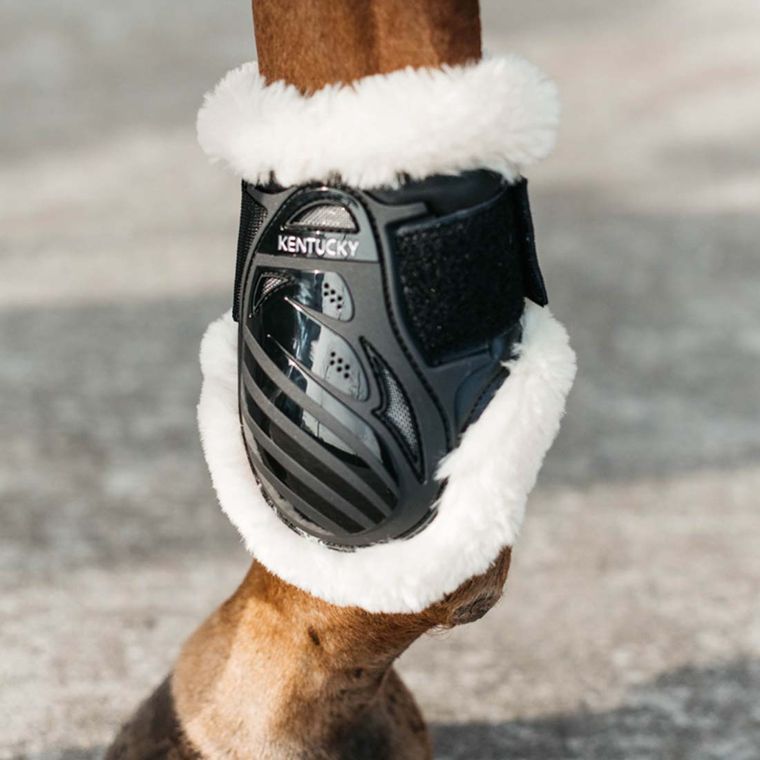 Guêtres en peau de mouton pour jeune cheval Shield Noir