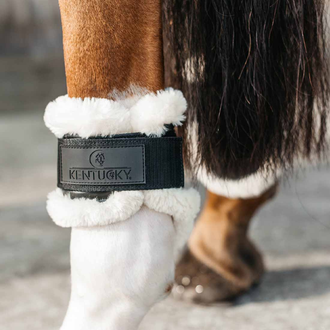 Guêtres en peau de mouton pour jeune cheval Shield Noir