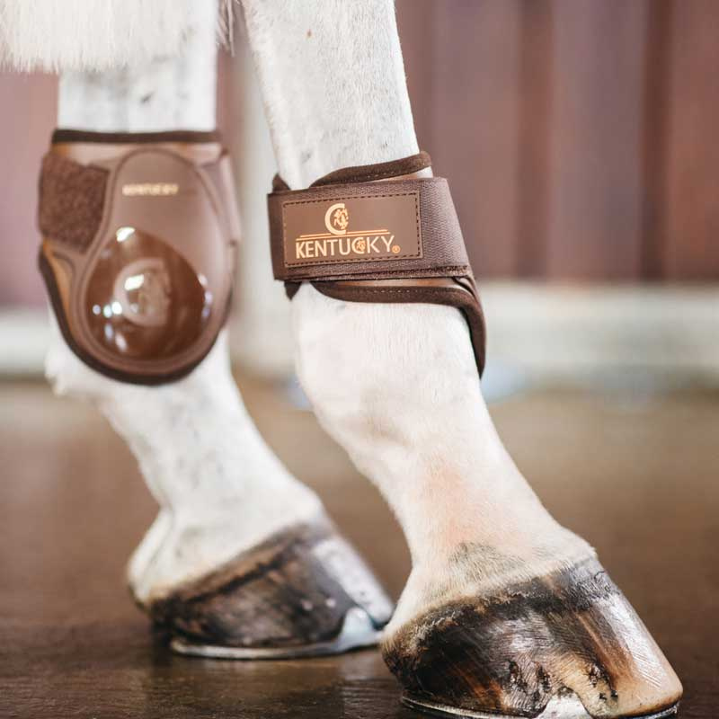 Protection pour jeune cheval Marron