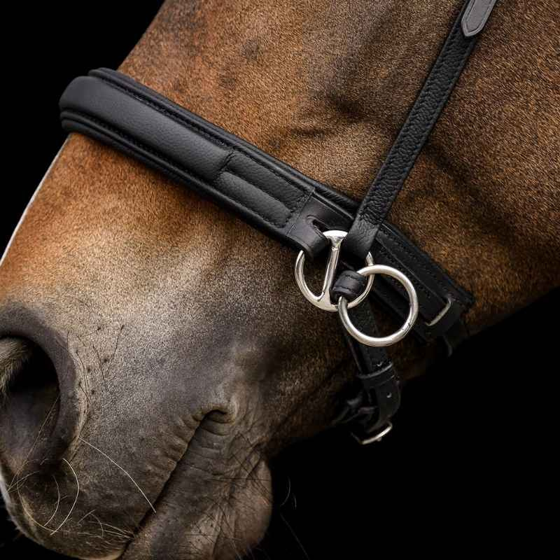Bridon sans mors Supersoft X-Line Noir