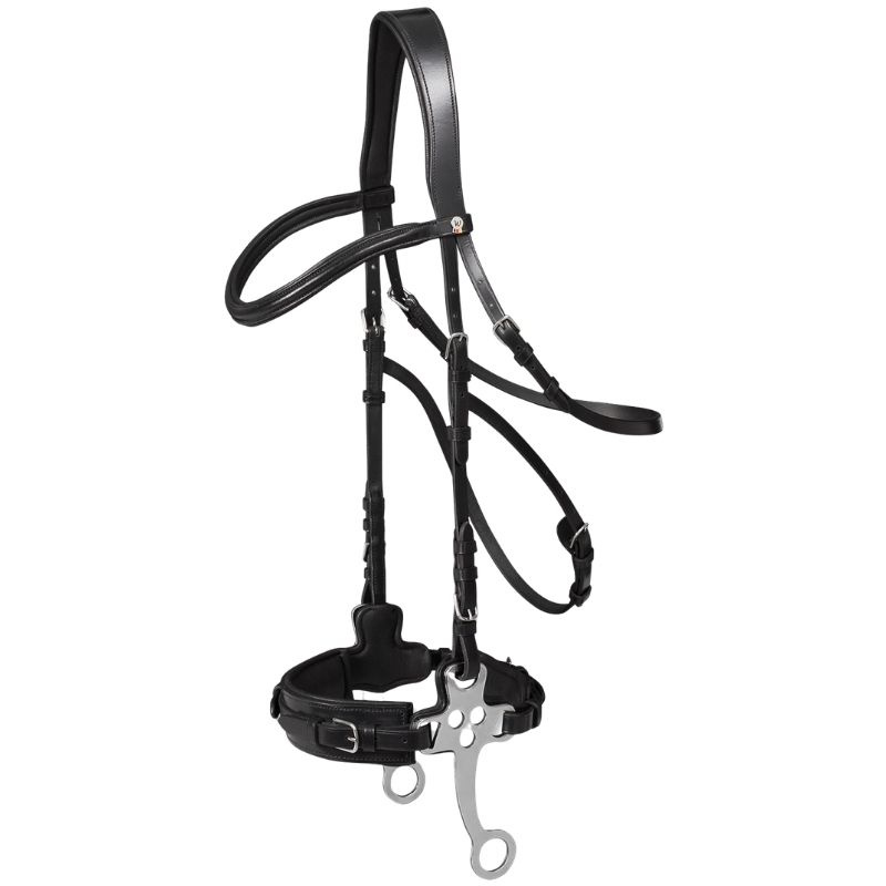 Bride hackamore X-Line Noir
