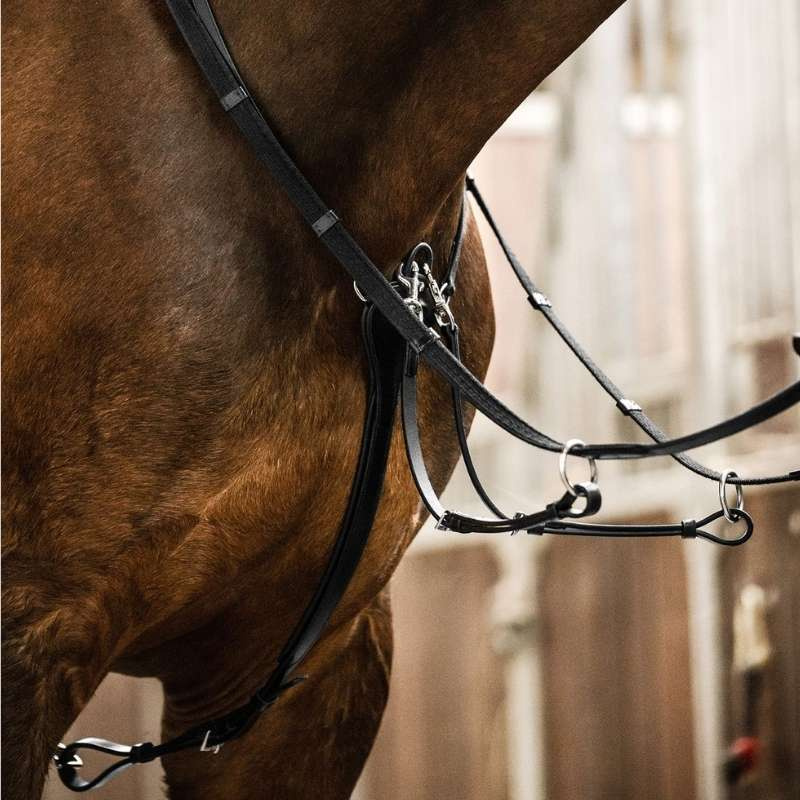 Martingale Professional X-Line Noir