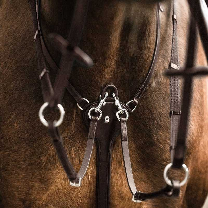 Martingale Professional X-Line Marron