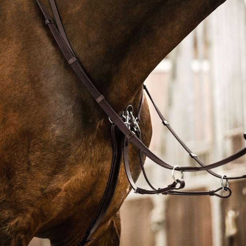 Martingale Professional X-Line Marron