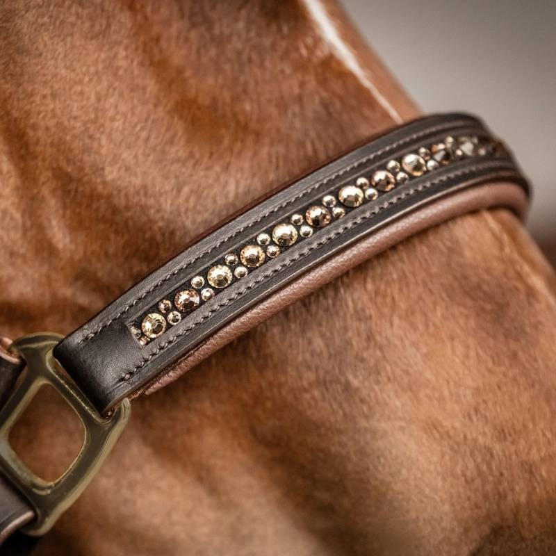 Licol en cuir Crystal X-Line Marron