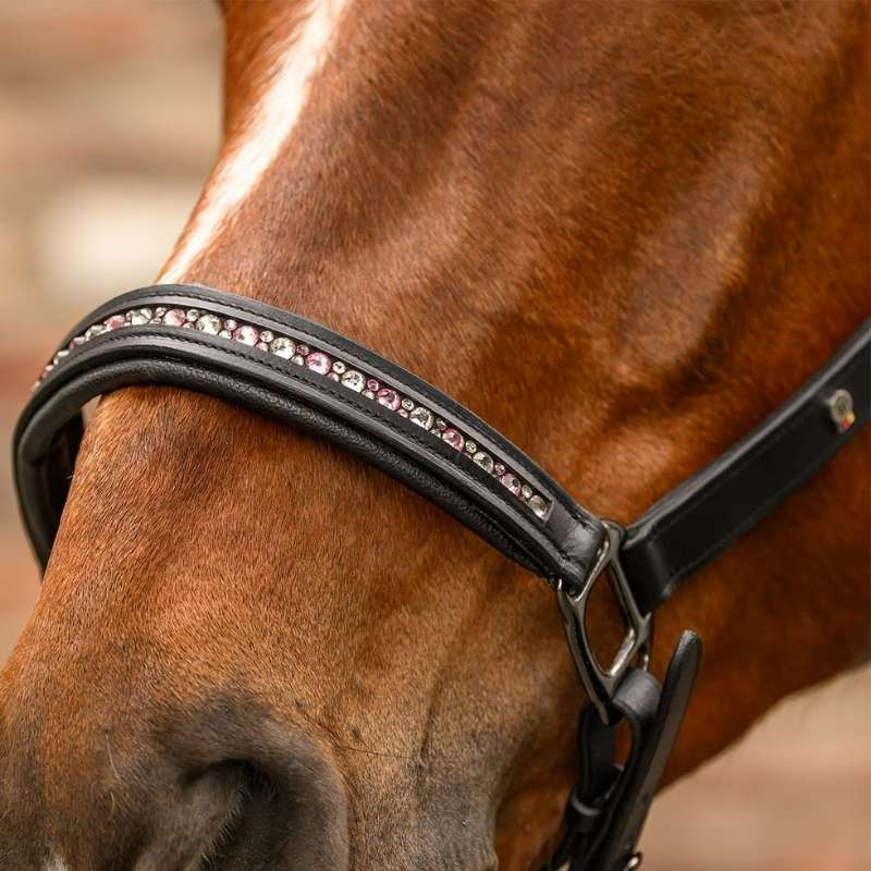 Licol en cuir Crystal X-Line Noir/Rose