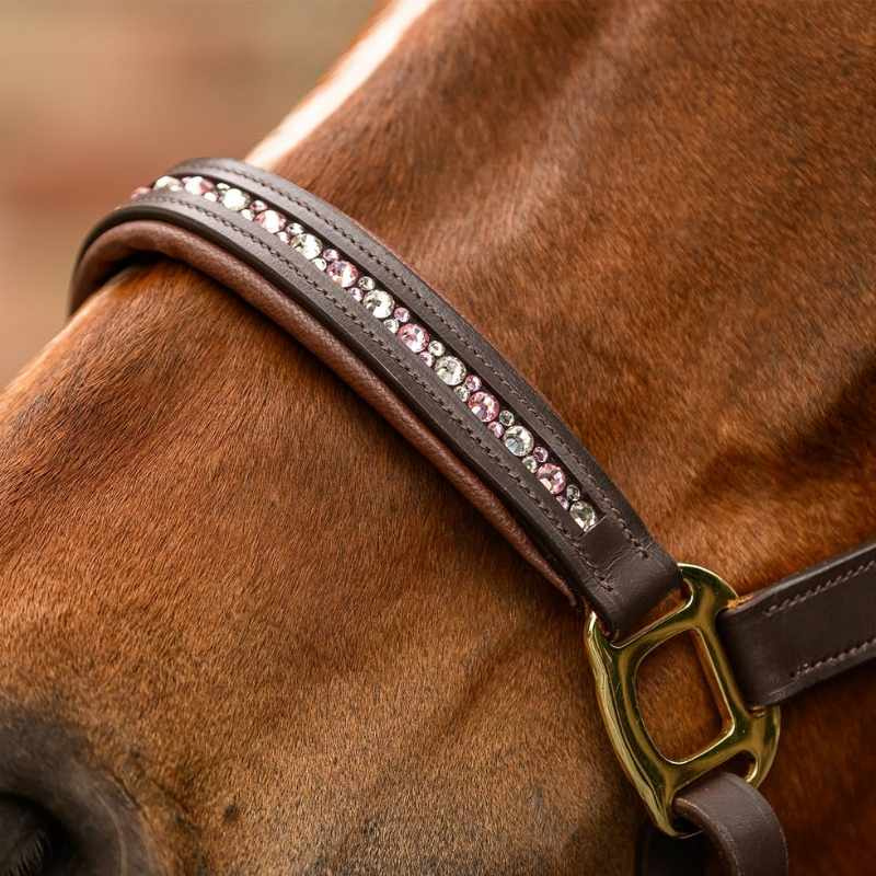 Licol en cuir Crystal X-Line Marron/Rose
