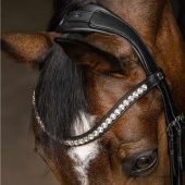 Bride de dressage Evermore X-Line Noir/Blanc Bride de dressage Evermore X-Line Noir/Blanc