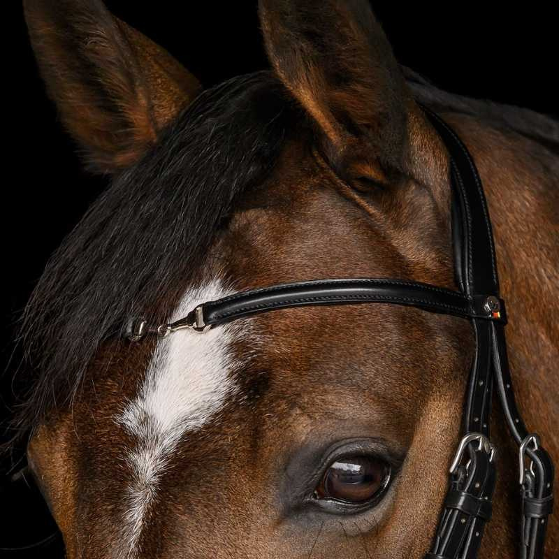 Bridon Charmbit X-Line Noir