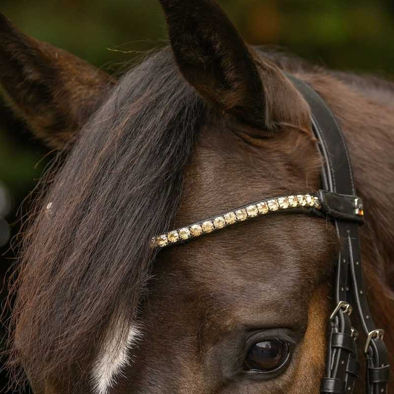 Frontal Shine X-Line Noir/Toffee