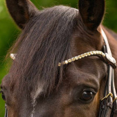 Frontal Shine X-Line Marron/Toffee Frontal Shine X-Line Marron/Toffee