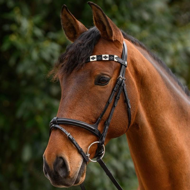 Frontal Polo X-Line Noir/Beige