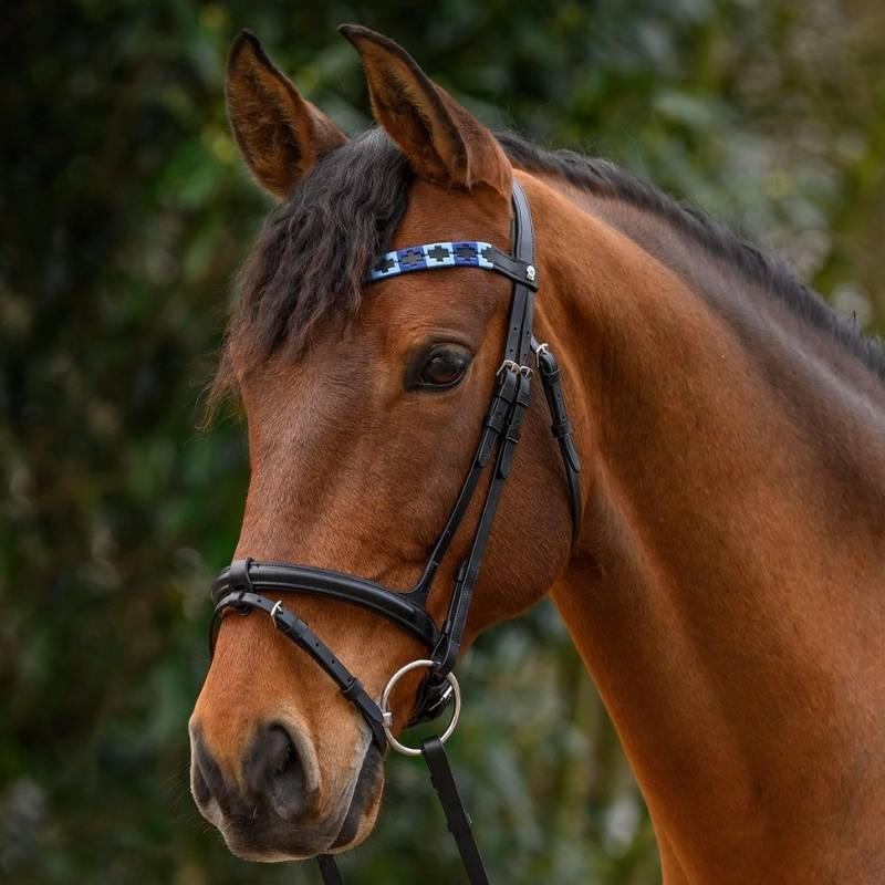Frontal Polo X-Line Noir/Bleu
