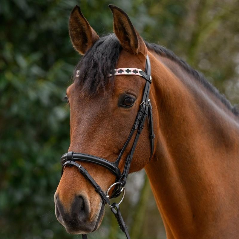 Frontal Polo X-Line Noir/Rose