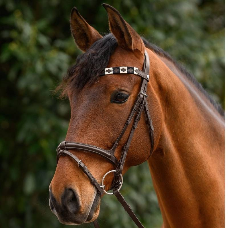 Frontal Polo X-Line Marron/Beige