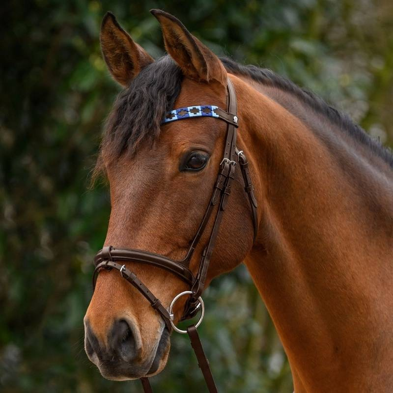 Frontal Polo X-Line Bleu/Marron