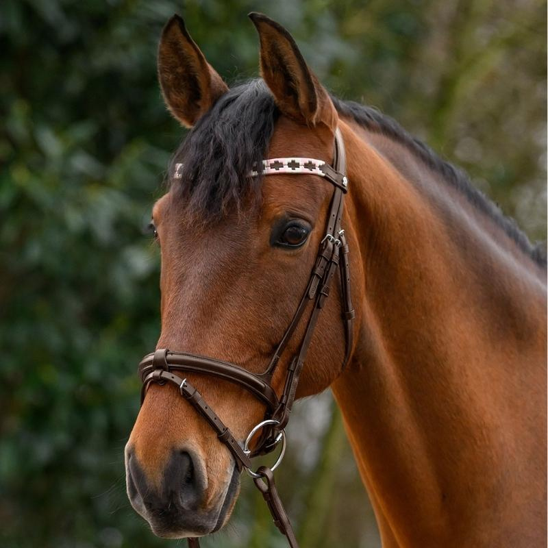 Frontal Polo X-Line Marron/Rose